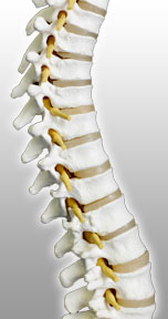 houston chiropractor, pain releif