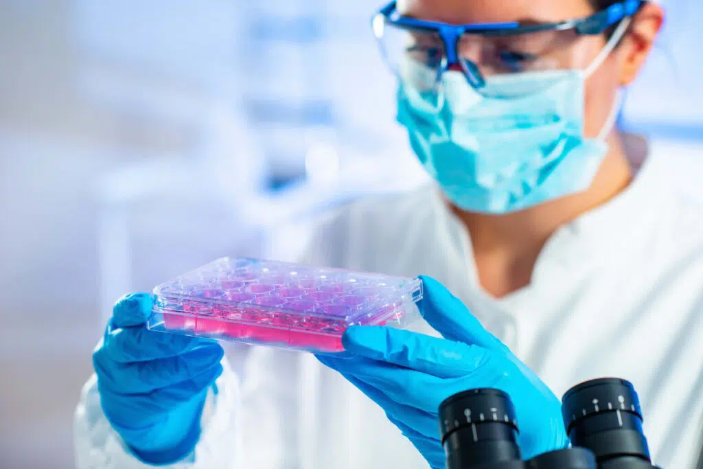 Researcher looking at samples in a stem cell and regenerative medicine laboratory